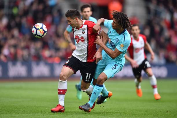 因比目鱼肌 因比目鱼肌